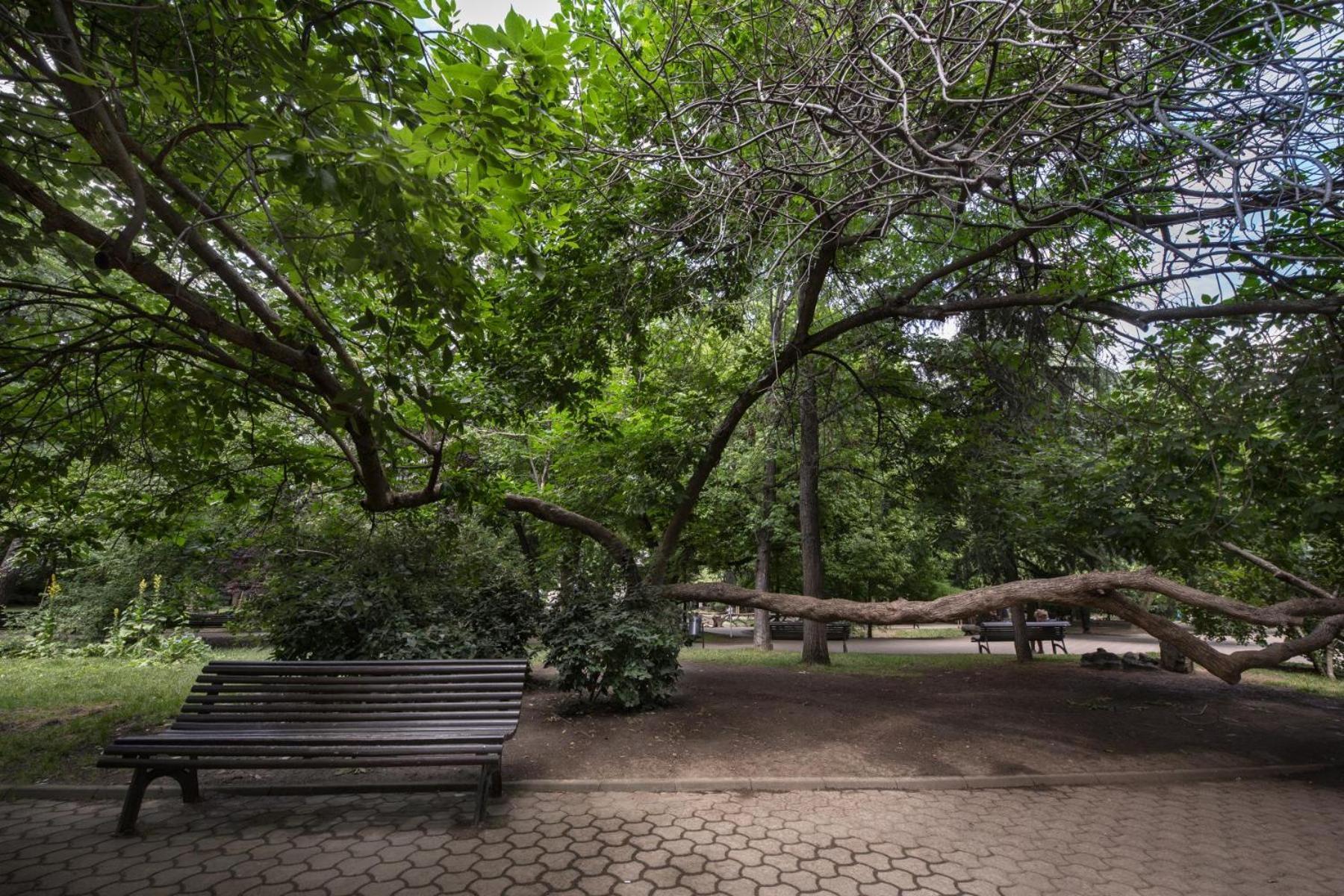 Rainforest Studio Downtown By Pretty Apartments Бухарест Экстерьер фото